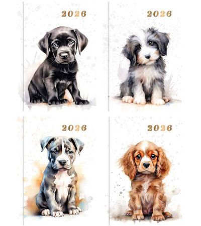 24x 2026 Pocket Diary Week To View...Watercolour Dog Designs