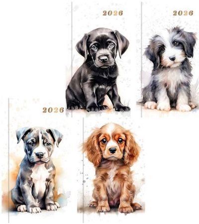 24x 2026 Slim Diary Week To View...Watercolour Dog Designs