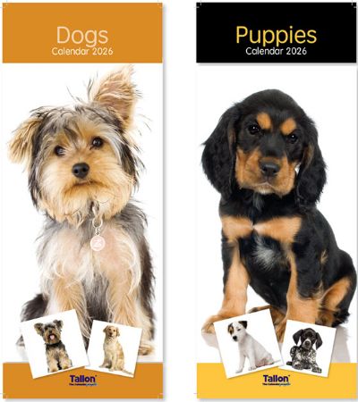24x 2026 Super Slim Calendar - Puppies And Dogs