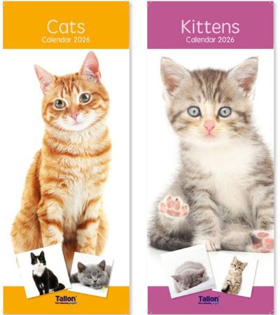 24x 2026 Super Slim Calendar - Kittens And Cats