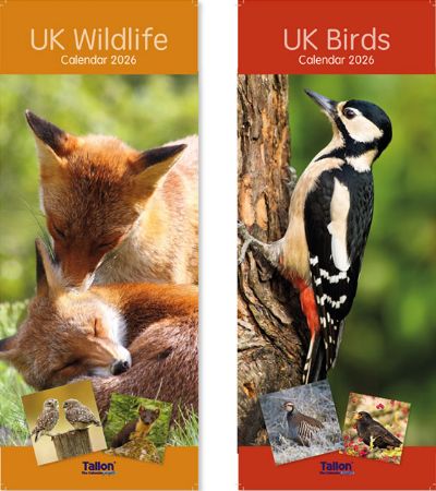 24x 2026 Super Slim Calendar - Birds And Wildlife
