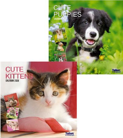 12x 2026 Square Calendar - Puppies And Kittens