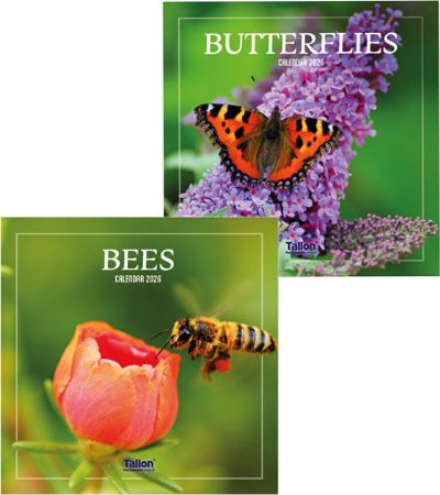 12x 2026 Square Calendar - Bees and Butterflies